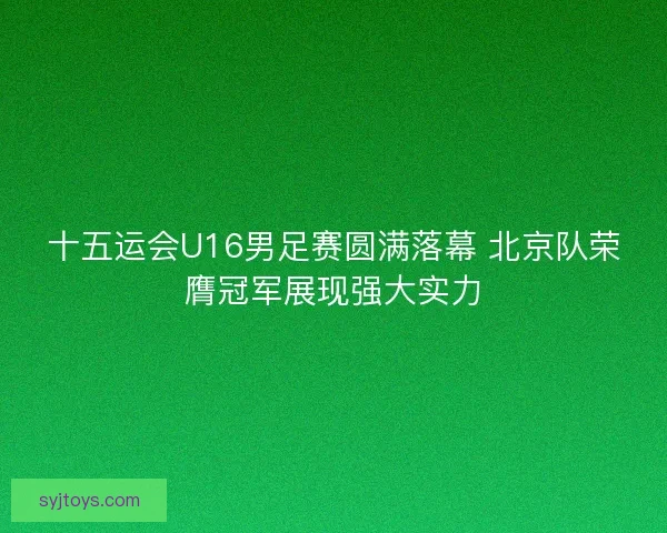 十五运会U16男足赛圆满落幕 北京队荣膺冠军展现强大实力